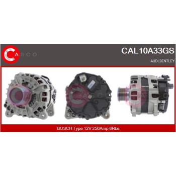 Alternador - CASCO CAL10A33GS