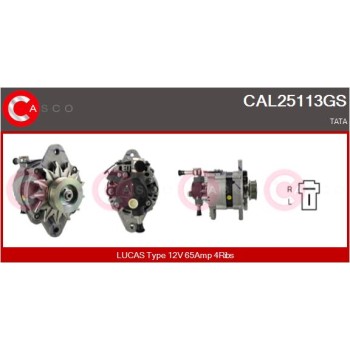 Alternador - CASCO CAL25113GS