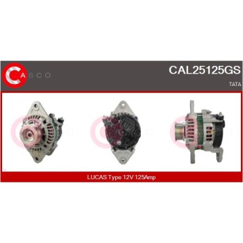 Alternador - CASCO CAL25125GS