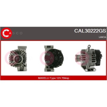 Alternador - CASCO CAL30222GS