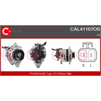 Alternador - CASCO CAL41107OS