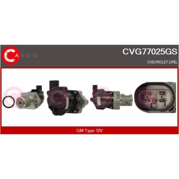 Válvula EGR - CASCO CVG77025GS