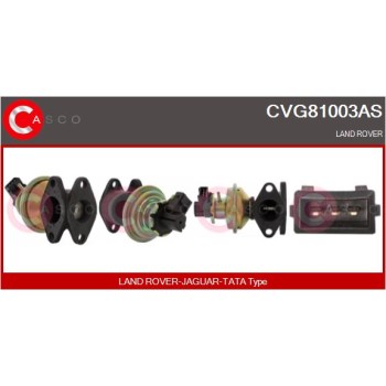 Válvula EGR - CASCO CVG81003AS