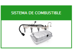 Combustible