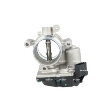 Cuerpo de mariposa Cuerpo de mariposa