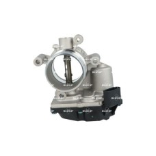 Cuerpo de mariposa Cuerpo de mariposa