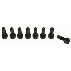 Juego tornillos, volante - SACHS-1874 000 066