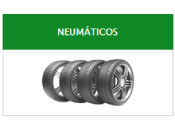 Neumaticos