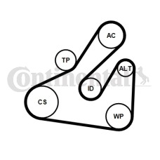 Juego de correas trapeciales poli V - CONTITECH-5PK1745K1