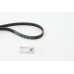 Correa trapecial poli V - CONTITECH-4PK1237