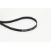 Correa trapecial poli V - CONTITECH-4PK800
