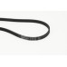 Correa trapecial poli V - CONTITECH-4PK841