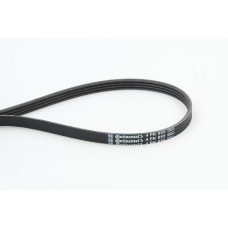 Correa trapecial poli V - CONTITECH-4PK855
