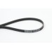 Correa trapecial poli V - CONTITECH-4PK855