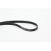Correa trapecial poli V - CONTITECH-4PK925