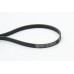Correa trapecial poli V - CONTITECH-5PK1125