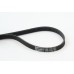 Correa trapecial poli V - CONTITECH-5PK1145