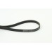 Correa trapecial poli V - CONTITECH-5PK1200
