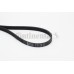 Correa trapecial poli V - CONTITECH-5PK1245 Correa trapecial poli V - CONTITECH-5PK1245