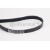 Correa trapecial poli V - CONTITECH-5PK1300