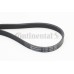 Correa trapecial poli V - CONTITECH-5PK1334