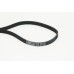 Correa trapecial poli V - CONTITECH-5PK1427 Correa trapecial poli V - CONTITECH-5PK1427