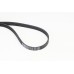 Correa trapecial poli V - CONTITECH-5PK1441