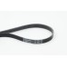 Correa trapecial poli V - CONTITECH-5PK1592