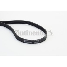 Correa trapecial poli V - CONTITECH-5PK1960