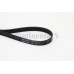 Correa trapecial poli V - CONTITECH-5PK875