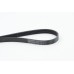 Correa trapecial poli V - CONTITECH-6PK1005