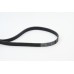 Correa trapecial poli V - CONTITECH-6PK1080