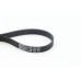 Correa trapecial poli V - CONTITECH-6PK1145