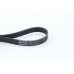 Correa trapecial poli V - CONTITECH-6PK1190