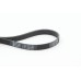 Correa trapecial poli V - CONTITECH-6PK1205
