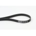 Correa trapecial poli V - CONTITECH-6PK1217