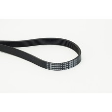 Correa trapecial poli V - CONTITECH-6PK1230 Correa trapecial poli V - CONTITECH-6PK1230
