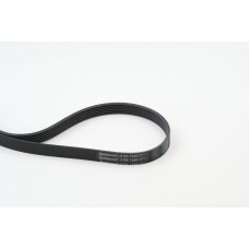 Correa trapecial poli V - CONTITECH-6PK1244 Correa trapecial poli V - CONTITECH-6PK1244