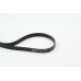Correa trapecial poli V - CONTITECH-6PK1244