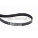 Correa trapecial poli V - CONTITECH-6PK1306