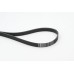 Correa trapecial poli V - CONTITECH-6PK1318