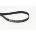 Correa trapecial poli V - CONTITECH-6PK1345