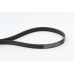 Correa trapecial poli V - CONTITECH-6PK1352