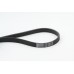 Correa trapecial poli V - CONTITECH-6PK1548