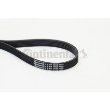 Correa trapecial poli V - CONTITECH-6PK1555