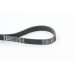 Correa trapecial poli V - CONTITECH-6PK1560