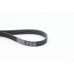 Correa trapecial poli V - CONTITECH-6PK1564