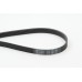Correa trapecial poli V - CONTITECH-6PK1580