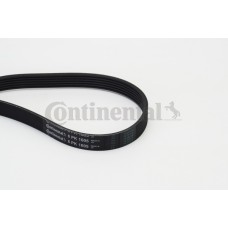 Correa trapecial poli V - CONTITECH-6PK1605