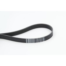 Correa trapecial poli V - CONTITECH-6PK1613